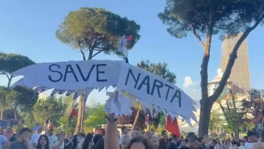 Me shkrime në ‘flatra’, pelikani kaçurrel ‘ulet’ në protestën e Zvërnecit