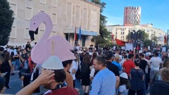 ‘Të dorëhiqen kryeministri dhe opozita’, protestuesja: Establishmenti po e fal Shqipërinë!
