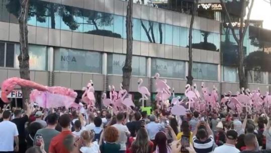 Flamingot ‘vijnë’ në protestë, paradë para kryeministrisë