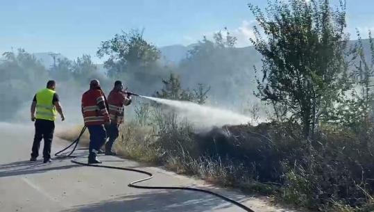 Zjarr në aksin Kukës-Gostil, tymi i dendur vështirëson qarkullimin! Flakët shuhen në kohë rekord