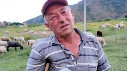 Personazh/ Mban 140 krerë dele por fitimet janë të pakta! Hysen Gjoka nga Bulqiza: Fitoj aq sa është paga minimale në vend
