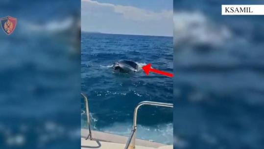 Ksamil/ Iu  fundos skafi dhe rrezikuan të mbyteshin në det, Policia Kufitare shpëton dy turistë ukrainas
