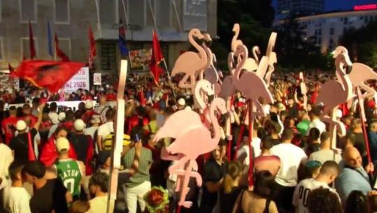 ‘Flamingot’ ngrenë kokat mbi protestuesit, parakalojnë mes tyre