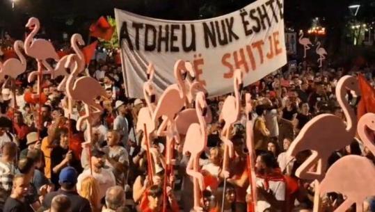 ‘Flamingot’ ngrenë kokat mbi protestuesit, parakalojnë mes tyre