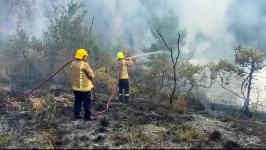 Përfshihet nga flakët kabina elektrike në fshatin Shkozë të Pukës, zjarri përhapet edhe në zonën pyjore përreth