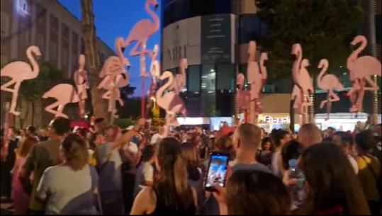 Flamingot bëjnë paradë mes protestuesve