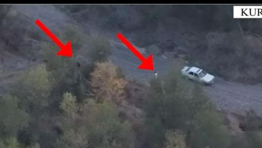 Aksion antidrogë në Kurbin, policia kap ‘mat’ në paracelën me kanabis dy të rinjtë