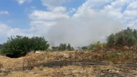 Zjarr në periferi të Vlorës, flakët përhapen drejt banesave! Shkak mungesa e mirwmbajtjes, banori: Vendi është ‘barut’, ky problem çdo vit