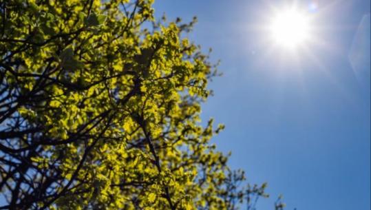 Temperatura të larta në të gjithë territorin, pika shiu në disa zona… parashikimi i së dielës