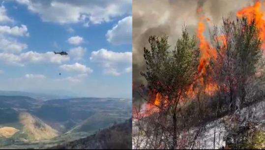 Zjarri në Mallakastër vihet nën kontroll, ndërhyrje edhe nga ajri pranë Parkut Arkeologjik të Bylisit