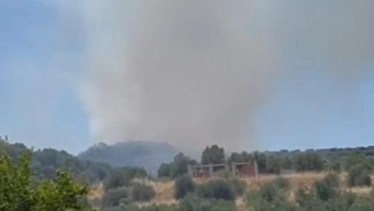 Vlorë/ Zjarr i madh përfshin Llakatundin, era e fortë përhap me shpejtësi flakët