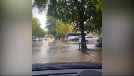 Elbasani ‘goditet’ nga një stuhi e fortë ere dhe shiu, përmbytje në disa zonë të qytetit! Pemë të thyera, karrige dhe kosha mbeturinash në rrugë