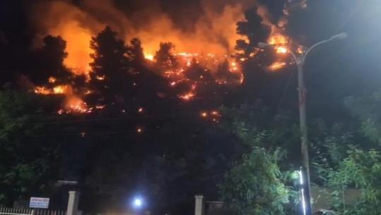 Zjarr në malin e Shëngjinit, flakët kërcënojnë zonat e banuara, i afrohen edhe rrugës kryesore