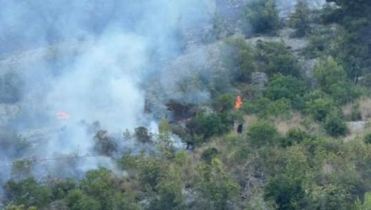 Lezhë/ Zjarri në malin e Shëngjinit, digjen sipërfaqe të konsiderueshme! Zjarrfikësit vijojnë punën prej mbrëmjes së djeshme për fikjen e vatrës