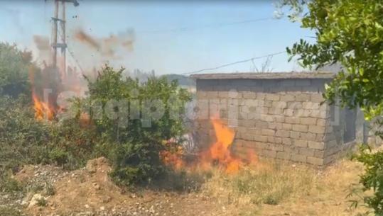 Tjetër vatër zjarri në Lezhë,  flakët përfshijnë sipërfaqe me shkurre në fshatin Pllanë 