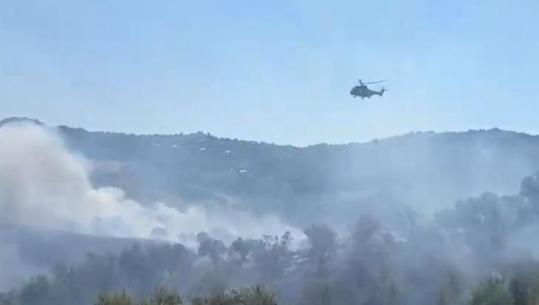 Zjarr në Drizë të Fierit! Flakët edhe drejt fshatit Peshtan, nis ndërhyrja nga ajri! Dyshohet i qëllimshëm (VIDEO)