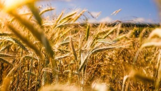 Në tetor nis ‘fotografimi’ i bujqësisë dhe blegtorisë, drejtoresha e INSTAT: Censi do zgjasë 6 javë dhe kushton 11 milionë euro