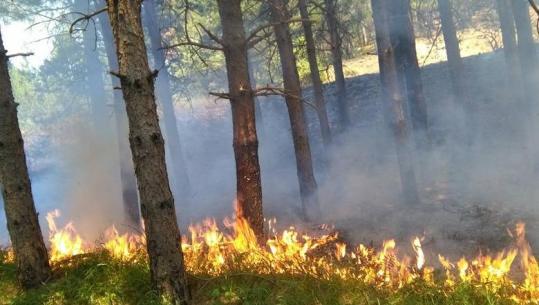 Lamallari paralajmëron qytetarët: Zjarrvënia është krim, dënimet deri në 15 vite burg