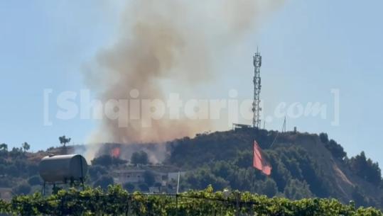 Zjarr në lagjen ‘15 Tetori’ në Vlorë, flakët përfshijnë një hapësirë me pisha e shkurre