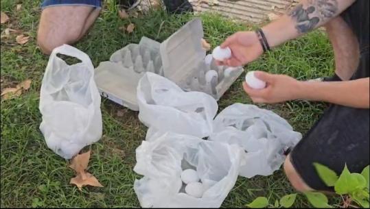 Sot Kuvend, PD mbledh deputetët për të vendosur nëse do shkojnë në seancë! 