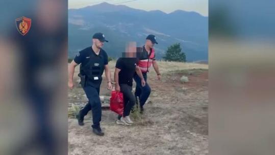 Kukës/ Kapet duke ujitur parcelën me 60 bimë kanabis në Kalimash, arrestohet 34-vjeçari 