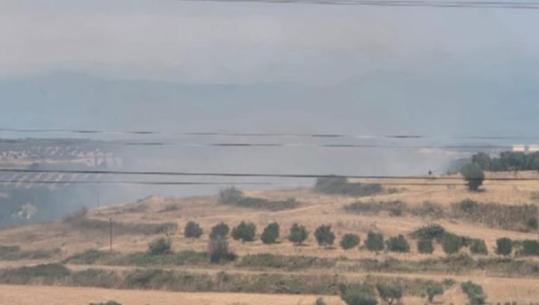 Elbasan/ Bie zjarr në Belsh, flakët rrezikojnë pemët dhe një banesë, zjarrfikësit në terren, thirrje për ndihmë edhe nga bashkitë e tjera