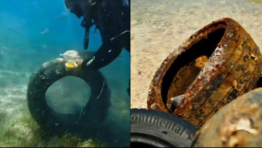 150 vullnetarë për pastrimin e bregdetit në Porto Palermo, Rama: Shembull i bukur i kujdesit për mjedisin