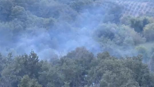 Zjarr në kodrat e Peshtanit, ndërhyrja e shpejtë shmang përhapjen e flakëve (VIDEO)