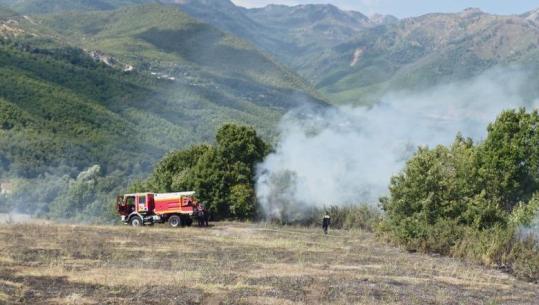 Rrezikoi pyje e banesa, shuhet shpejt zjarri në Peladhi të Bulqizës