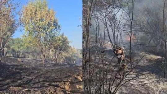 Një vatër zjarri shpërthen në Mallakastër, flakët favorizohen nga era,  zjarrfikësit në terren