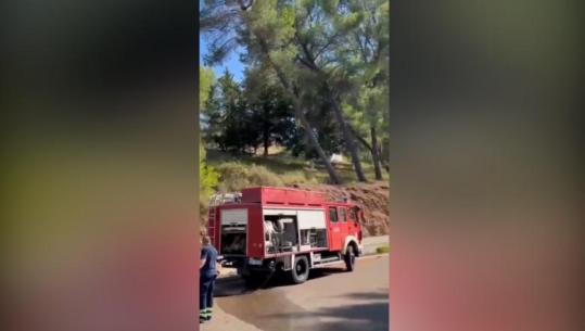 Elbasan/ Shuhet shpejt zjarri në Krastë, zjarrfikësja: Dyshohet se u shkaktuan nga ndezja e qirinjve te vendi i mirë