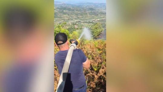 Neutralizohen flakët në Drenovë të Mallakastrës, dogjën 10 hektarë me ullinj dhe pyll