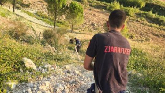 Zjarr në fshatin Visokë të Mallakastrës, flakët përfshijnë një sipërfaqe me shkurre pranë rrugës kryesore