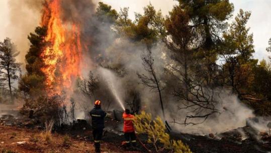 Greqi/ Flakët ‘gllabërojnë’ Atikën perëndimore, evakuohen banorë të disa zonave! Vijon hetimi për aksidentin tragjik me 2 helikopterët zjarrfikës