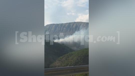 Vatër zjarri në Moglicë të Korçës, zjarrfikësit nisen drejt zonës për të frenuar përhapjen e flakëve