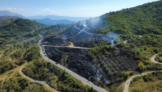 Ndezi zjarrin që dogji 400 pemë ulliri në ‘Qafën e Vidhit’, arrestohet 54-vjeçari në Mallakastër (EMRI)