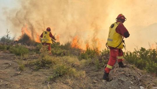 20 vatra zjarri gjatë 24 orëve, 727 forca operacionale u angazhuan për shuarjen e flakëve, 128 efektivë të FA