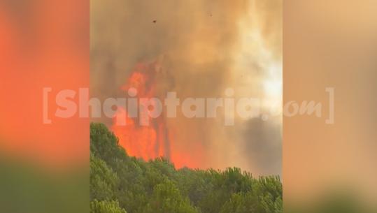 Zjarri në Rriban të Mallakastrës del jashtë kontrollit, flakët rrezikojnë përhapjen në zona të tjera