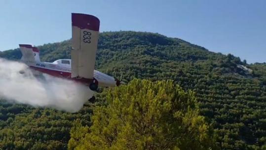 Mallakastër/ Zjarri në fshatin Riban merr përmasa të mëdha, rrezikon të digjet masivi pyjor në Lofkënd! Nis ndërhyrja me helikopter e avion (VIDEO)