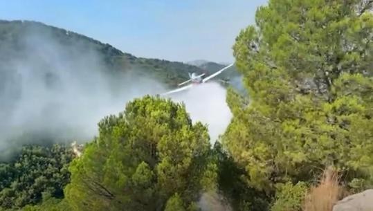 Rama publikon pamjet nga operacioni për shuarjen e flakëve në Mallakastër: Avioni i parë zjarrfikës ka nisur aktivitetin në Shqipëri! (VIDEO)