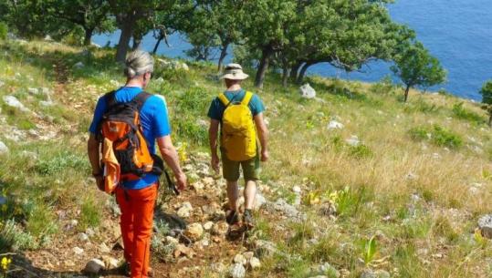 'Faleminderit Shqipëri', Ambasada gjermane vlerëson ekipet shqiptare që shpëtuan turistët në jug: Profesionalizëm dhe reagim i jashtëzakonshëm