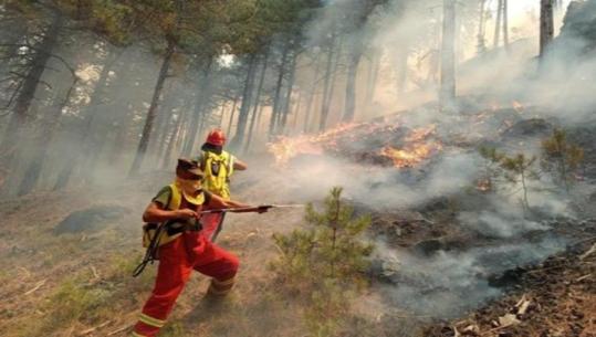 7 vatra zjarri ende aktive në vend, luftë me flakët në Dajt, Mallakastër, Elbasan dhe Dropull! Mbrojtja Civile: 336 efektivë dhe mjete ajrore në operacionet zjarrfikëse