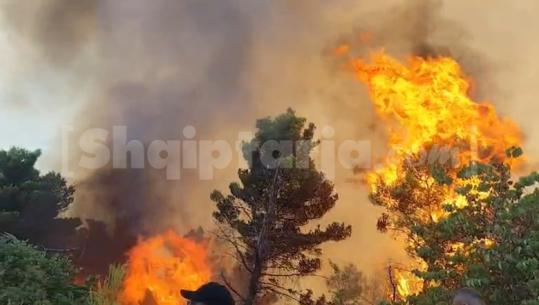 7 vatra zjarri ende aktive në vend, flakët në Mallakastër sërish jashtë kontrollit, qindra forca zjarrfikëse në terren, vazhdon operacioni nga ajri me helikopter dhe 'Air Tractor' (VIDEO)