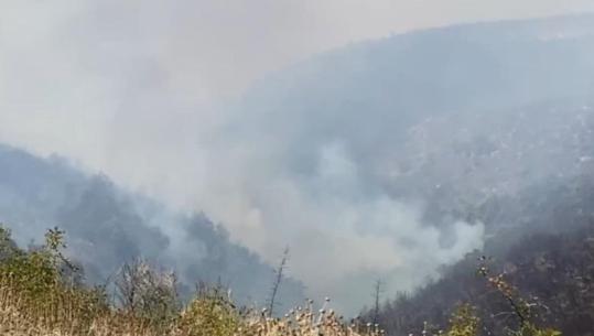 Gjirokastër/ Vatër e re zjarri në Malin e Gjerë, digjen shkurre e kullota