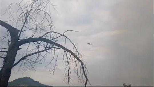 Mallakastër/ Flakët në masivin pyjor të Lofkendit jashtë kontrollit, rinis ndërhyrja nga ajri me helikopter