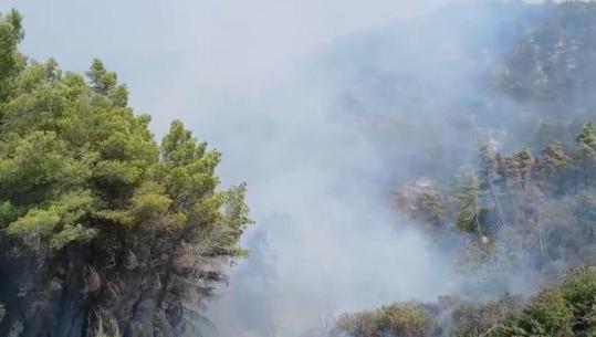 Report TV sjell pamje nga Mallakastra, masivi pyjor në Drenije në rrezik nga flakët, zjarrfikësit përballë terrenit të vështirë (VIDEO)