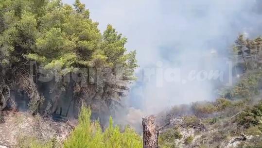 Era favorizon flakët në Mallakastër, zjarri avancon drejt Vloshit, helikopterët zjarrfikës sërish në ajër (VIDEO)