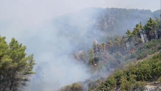 Zjarret, 5 vatra aktive në vend! Situata në Mallakastër problematike, flakët avancojnë drejt Lofkëndit, Vloshit dhe Ngraçanit! 130 forca në terren, 2 helikopterë ndërhyjnë nga ajri (VIDEO)