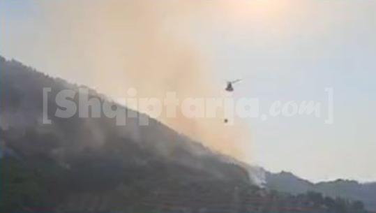 Mallakastër/ Vijon puna për shuarjen e zjarrit në fshatin Panahor, rifillon ndërhyrja nga ajri