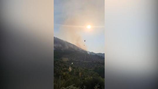 Mallakastër/ Vijon puna për shuarjen e zjarrit në fshatin Panahor, rifillon ndërhyrja nga ajri me 2 helikopterë (VIDEO)